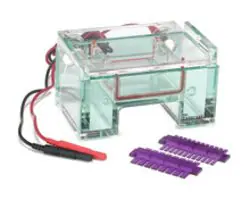 Gel – Electrophoresis systems